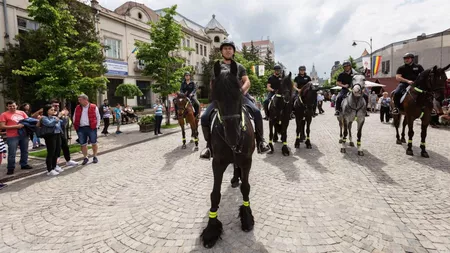 Un club de echitație din Iași vrea contractul de la Poliția Locală pentru cazarea cailor