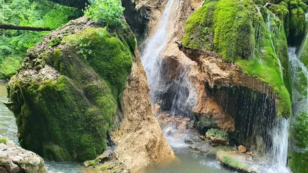 Scandal Cascada Bigar. Dan Trifu, preşedintele Federaţiei Coaliţia Natura 2000: „Legea spune foarte clar că este faptă penală” - VIDEO