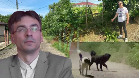 Teroare pe ulițele din comuna Aroneanu din Iași! Haitele de câini sfâșie tot ce prind în cale. Primarul Benone Moruzi: 