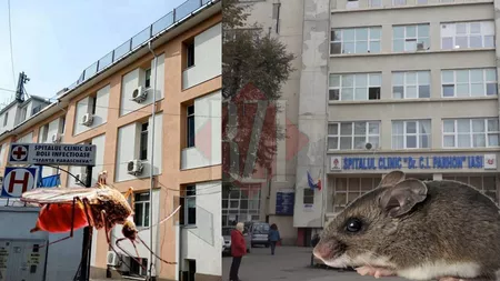 Pacientul infectat cu hantavirus a fost mutat din Secția ATI! Medicii sunt încă rezervați: 