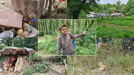 A fost descoperit criminalul din Iași care a participat la decapitarea presupusului amant al soției! Stă ascuns într-o groapă făcută în pădurea de la Ciric. Mănâncă din baltă și stă înconjurat de animale - FOTO