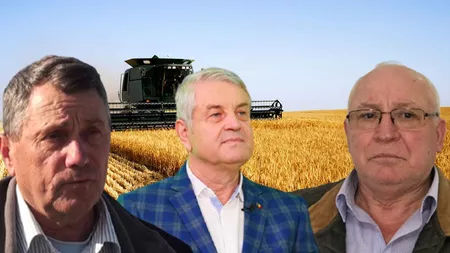 Fermierii din Iași fac milioane de euro în această vară! Producția de grâu este peste așteptări. Angajații fac mofturi și cer salarii mai mari - FOTO