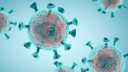 Bilanț coronavirus 28 august: 1.015 de cazuri noi de persoane infectate cu SARS – CoV – 2, în ultimele 24 de ore