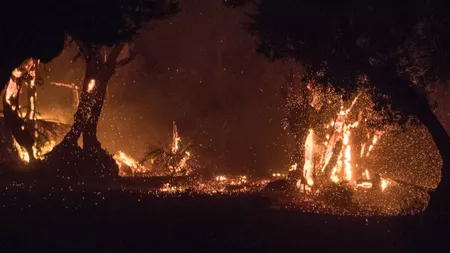 Incendii violente în insula Kefalonia. Turiștilor români și nu numai li se recomandă să evite zona