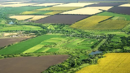 Topul comunelor din Iași în care sunt cele mai multe terenuri agricole! Sunt tot mai căutate de tinerii ieșeni care vor să deschidă afaceri de succes cu fonduri europene!