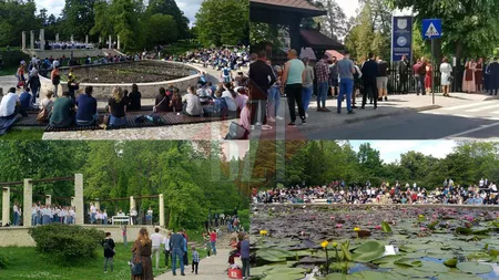 Grădina Botanică din Iași este una dintre cele mai frumoase atracții turistice din județ! Sute de vizitatori stau, zi de zi, la casa de bilete pentru a intra aici. Care sunt atracțiile verii din acest loc - GALERIE FOTO