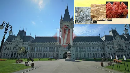 O sută douăzeci și două de minerale și asociații de minerale emblematice pentru spațiul mineralogic românesc care se disting prin forme, mărimi, asocieri nemaiîntâlnite în lume, expuse la Palatul Culturii din Iași