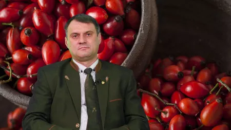 Direcția Silvică Iași nu mai găsește angajați. Oamenii nu mai vor să vină să lucreze la centrul unde se pregătesc fructele de pădure pentru Germania. 