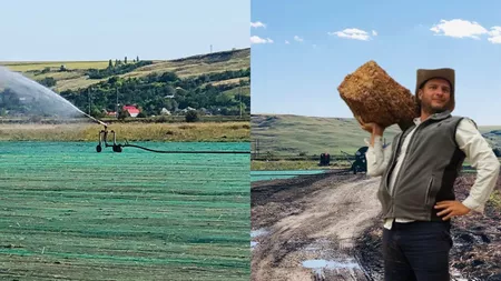 Tupeu fără margini al dezvoltatorului Ovidiu Petrache! A confiscat 17 hectare de teren ca să producă gazon pentru Primăria Iași. 
