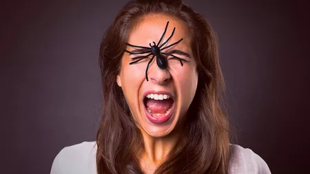 Frica de păianjeni: Ce este și cum poate fi tratată