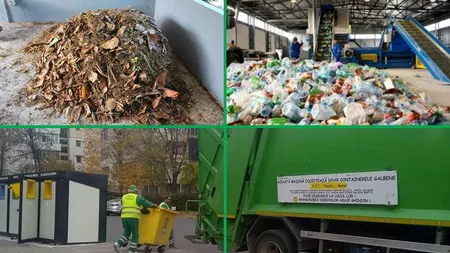 Salubris pregătește campania de toamnă! Ce poți face pentru a beneficia gratuit de colectarea deșeurilor vegetale