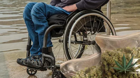 Un tânăr țintuit într-un scaun cu rotile, condamnat pentru trafic de droguri! Cum a reușit ieșeanul să aducă marijuana în România