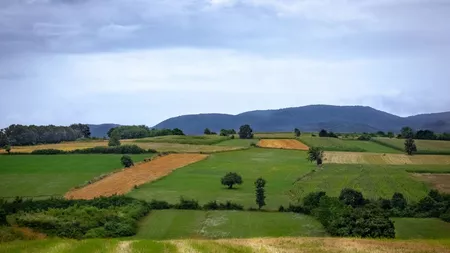 Prețurile la terenurile agricole din Iași au explodat! Un proprietar a scos la vânzare un teren de 1,1 hectare pentru care a cerut 200.000 de lei!