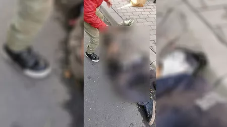 Accident rutier cu victimă, în cartierul Galata! Om al străzii, izbit de un autobuz. Victima, care era băută, transportată la spital - GALERIE FOTO, VIDEO