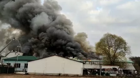 Incendiu de proporţii, pe o suprafaţă de 1.000 de metri pătraţi, la o fabrică de mezeluri din Olt