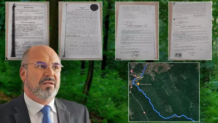 Tranzacția secretă a senatorului PSD Maricel Popa! S-a folosit de un angajat ca să facă avere cu cele mai frumoase păduri din Iași. A plătit de zece ori mai mult pentru 4 hectare - GALERIE FOTO, DOCUMENTE