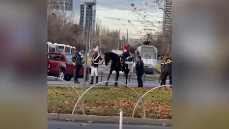 Un jandarm încearcă, fără succes, să se urce pe cal la parada de Ziua Națională - VIDEO VIRAL