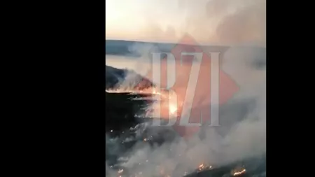 Incendiu de deşeuri şi vegetaţie uscată în două localităţi din judeţul Iaşi - EXCLUSIV, FOTO, VIDEO