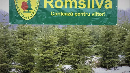 Val de concedieri în cadrul Romsilva. Sindicatele cer ajutorul prim-ministrului Nicolae Ciucă