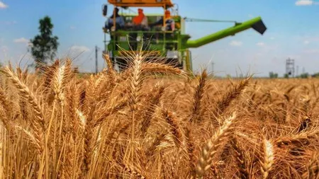 Ministerul Agriculturii asigură populația că stocurile de produse agroalimentare și de cereale ale României nu sunt în pericol