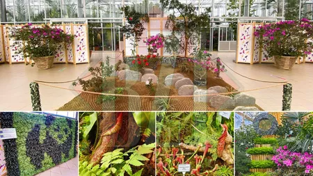 O nouă atracție spectaculoasă, unică, în Grădina Botanică ”Anastasie Fătu” din Iași - GALERIE FOTO