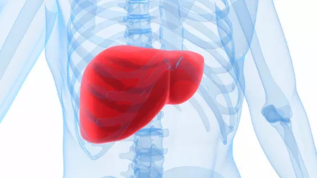 Ciroza hepatică se vindecă? Cea mai frecventă intrebare