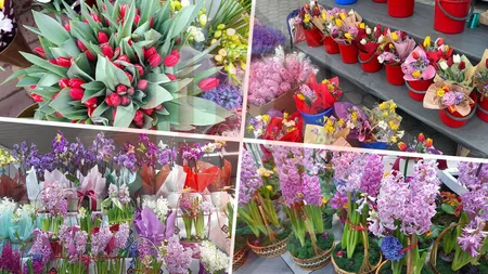 Au explodat prețurile la flori, în Iași! Florarii speră să obțină profituri colosale în sărbătorile de 1 și 8 Martie