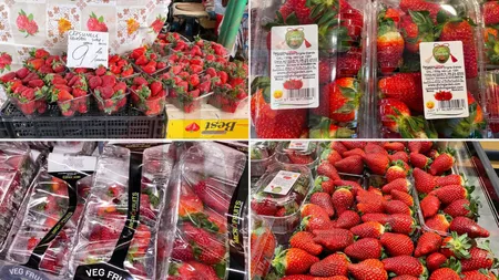 Căpșunile din Italia, Olanda sau Grecia au invadat piețele și supermarket-urile din Iași