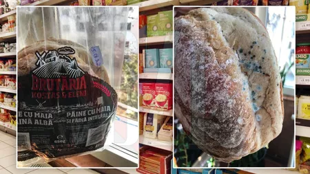 Pâine mucegăită pe raftul unui magazin din Iași. Reclamant: ”O ambalează fierbinte și de aceea mucegăiește”