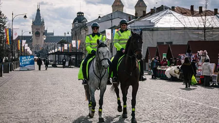 Poliția Locală Iași asigură servicii de pensiune pentru cai! Contractul are o valoare de 40.000 de euro