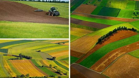 A crescut numărul tranzacțiilor cu terenuri agricole din Iași