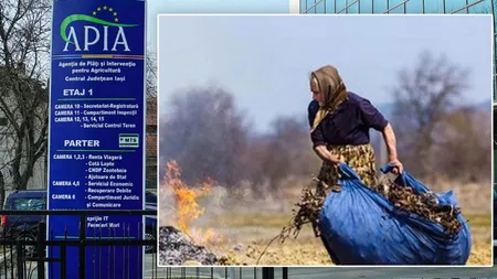 Semnal de alarmă tras de APIA Iași privind arderea miriştilor şi a resturilor vegetale pe terenul arabil