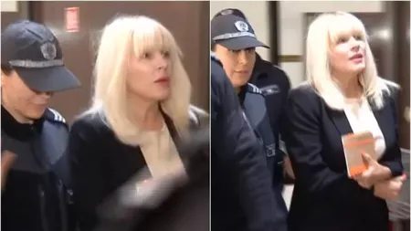 Elena Udrea nu va turna pe nimeni, explică avocata fostului ministru