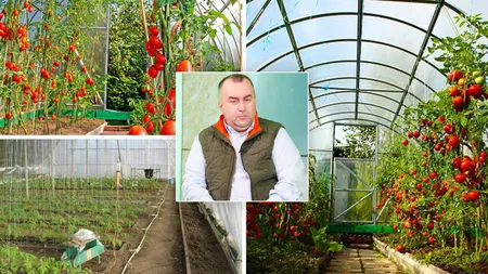 Direcția Agricolă Iași verifică serele producătorilor care au cerut ajutorul de minimis în programul ”Tomata”