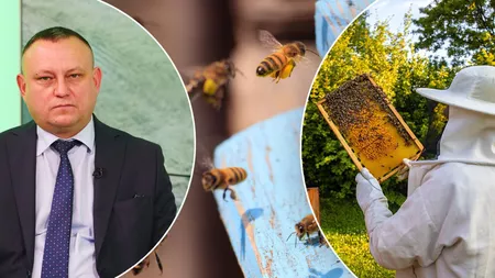 Crescătorii de albine din Iași mai pot depune cererile la APIA până la sfârșitul lunii iulie 2022