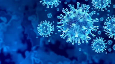 Cercetătorii anunță, în premieră, sfârșitul pandemiei COVID-19. Aceștia au aflat cum să blocheze virusul să pătrundă în organism