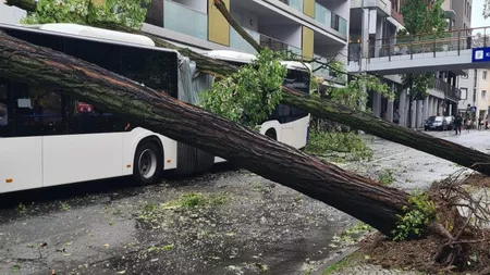 O tornadă a lovit vestul Germaniei: Sunt zeci de victime