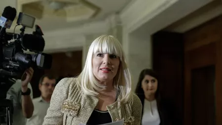 Elena Udrea cere încetarea procesului din dosarul Hidroelectrica, în care este acuzată că a primit o geantă cu 3,8 milioane de dolari