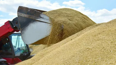 România ar putea furniza grâu în Israel! La schimb vom primi tehnologie agricolă