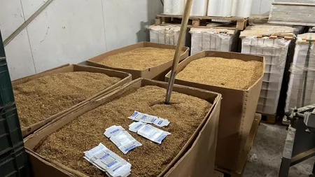 O fabrică ilegală de țigări a fost descoperită la Buzău. O tonă de tutun și cartoane inscripționate cu mărci cunoscute, confiscate