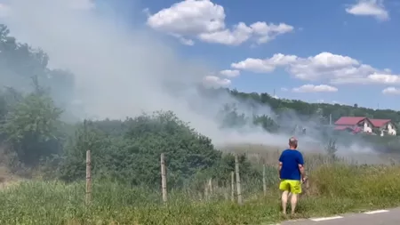 Incendiu de vegetaţie uscată în comuna Miroslava. Pompierii intervin în forţă - EXCLUSIV, VIDEO