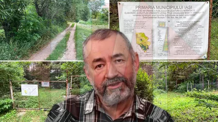 Patronul editurii Tehnopress din Iași construiește în pădurea cu pini din Bucium! Revoluționarul Ionel Săcăleanu: ,,Am așteptat 3 ani” – FOTO