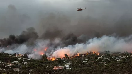 Peste o sută de incendii de vegetație în Grecia