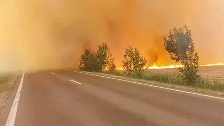 Incendiu de vegetaţie pe DN 1, între Ploieşti şi Braşov