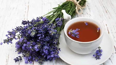 Ceai de lavandă, beneficii și contraindicații pentru organism. Proprietățile minune ale băuturii
