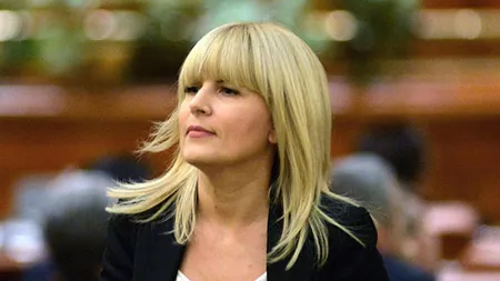 Elena Udrea criticase condiţiile în care au loc vizitele mamă-copil. Penitenciarul Târgşor anunță modernizări