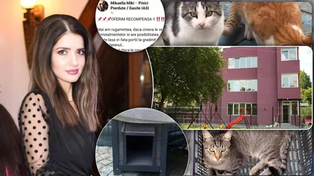 Părinte revoltat de ceea ce se întâmplă la Grădinița „Iris” din Iași! „Animalele merg nestingherite pe masă când mănâncă micuții!” – GALERIE FOTO/VIDEO