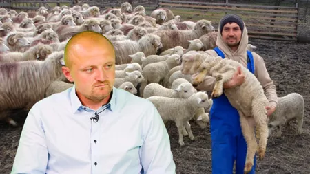Cât va costa carnea de miel în 2023? Crescătorii de ovine din Iași se pregătesc de sărbătorile pascale. „Creștem și noi prețurile, pentru că altfel închidem” - FOTO