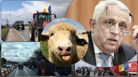 Ministrul „Oaia” a plecat cu mielul în brațe de la negocierile de la Bruxelles. Fermierii sunt disperați: „Vrem să blocăm Vama Siret” - FOTO