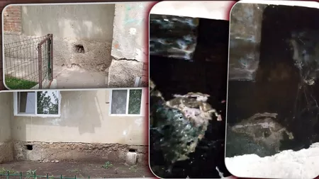 Locuitorii unui bloc sunt disperați după ce dejecțiile de la canalizare le-au ajuns în case: „Trăim în niște condiții inumane” - FOTO/VIDEO